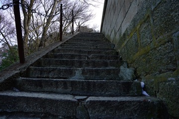 0A2B46B5-296C-4256-B0CF-2A089896B409/L0/001
