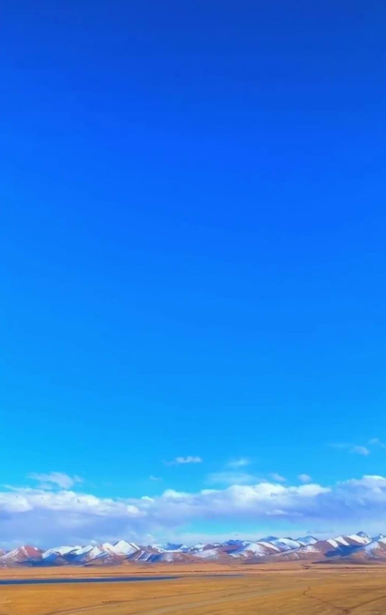 752_1200竖版 竖屏