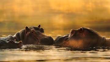Africa-04302-Edit-2