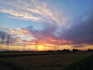 931286
