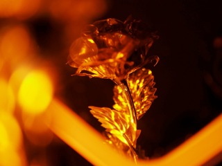 F3C8978B-8ED0-45D5-9A8D-4C8C8FADF98A/L0/001