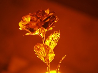 F61B23E5-17A3-4393-9464-06D1D99FDC23/L0/001