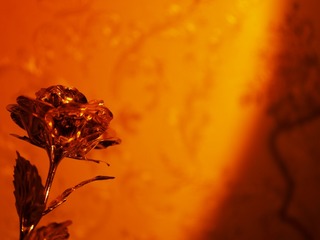 915F8A4E-A979-4C28-AA00-179D58F1EE79/L0/001
