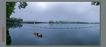 _W8A1961-Pano
