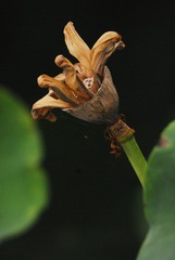 _DSC0004.JPG