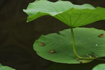 _DSC0004-南大.JPG