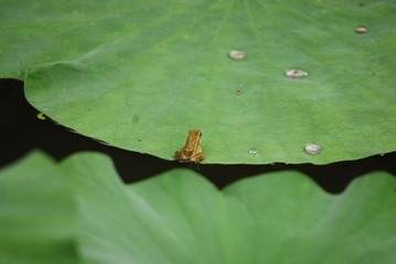 _DSC0007南大.JPG