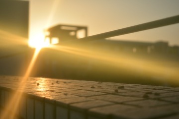 1000053313