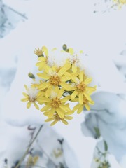 47BD5942-97BF-4E68-97B5-853138731EDE/L0/001