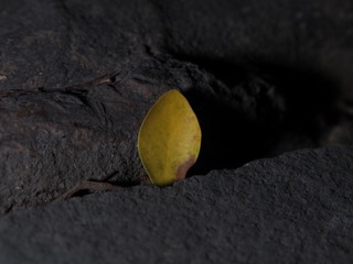 114509