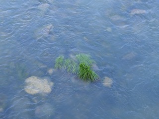 130536