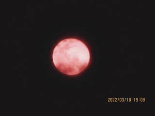 3B79C7AE-0E9D-433D-873E-0FF36FA8D83C/L0/001