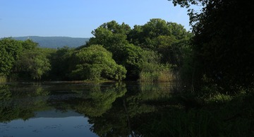 IMG_2982_