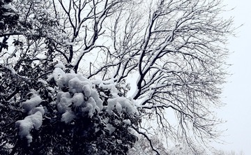 IMG_9629_