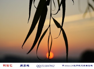 钩住它