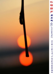 冰糖葫芦