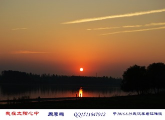 我在太阳心中