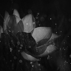143075