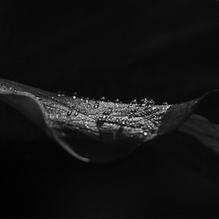 143059