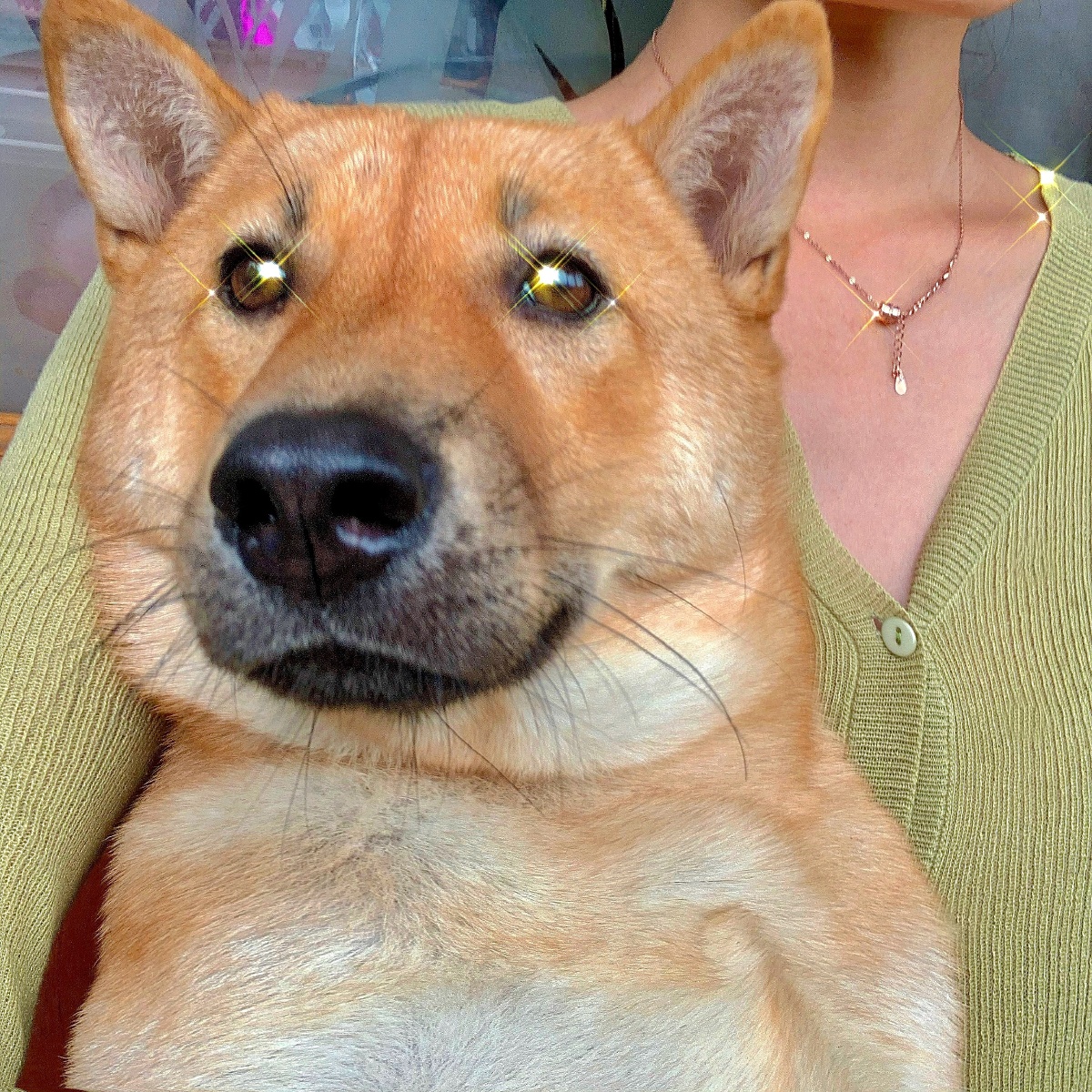 怼脸自拍05忽略人家的双下巴01