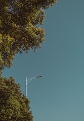 338084