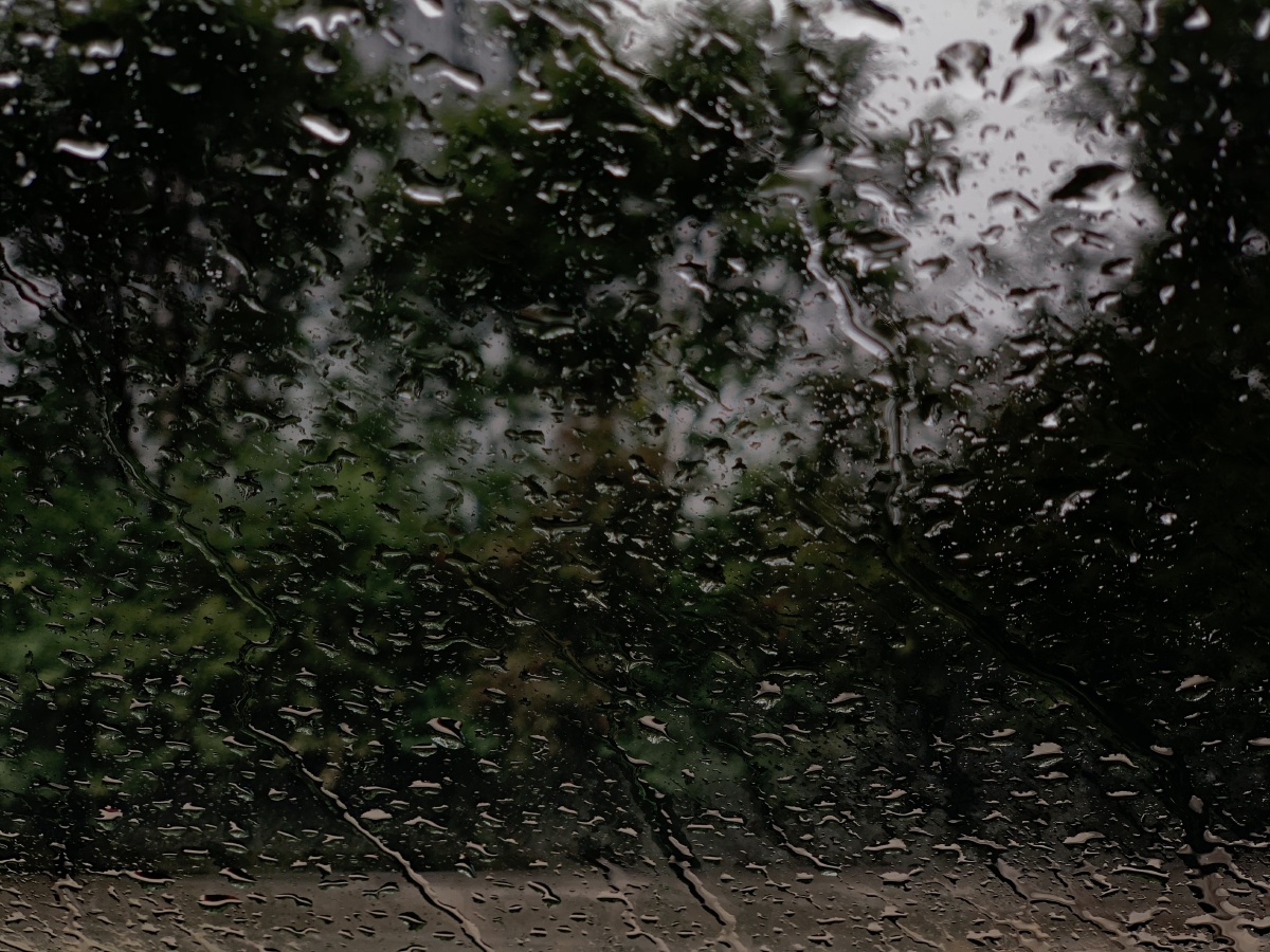 下雨天的一些照片黑色系