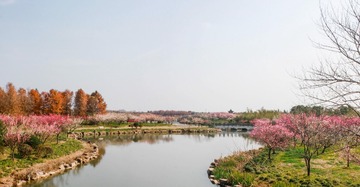 IMG_4385-Pano