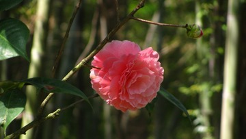 DA435047-175F-475C-837C-B84EC2BD55A7/L0/001