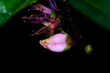 _DSC0923