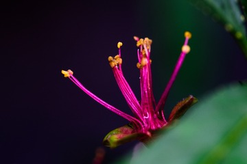 _DSC0924