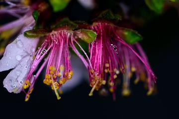 _DSC0926