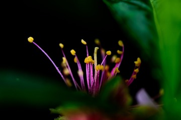 _DSC0927