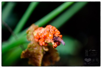 _DSC0934