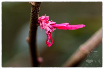 _DSC0937
