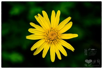 _DSC1015