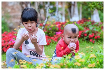 _NIK1064
