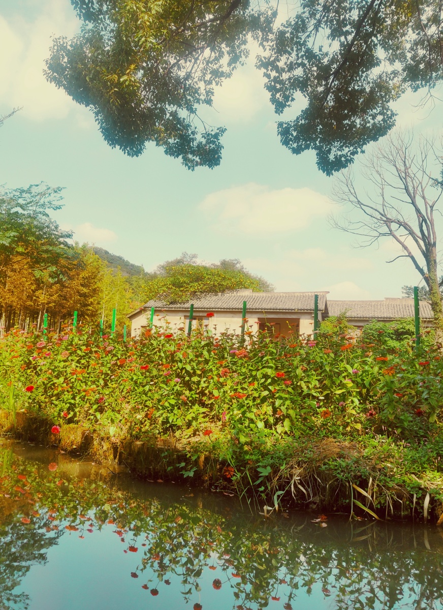 苏州浒关真山公园十月十九日