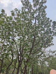 1000002516