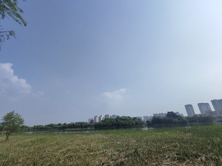 1000012901