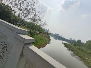 1000012841