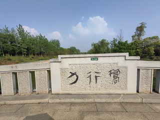 1000012839