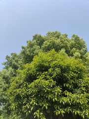 1000012819