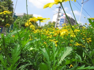 D873DD30-A0E7-4AA7-A702-7B187070B7BF/L0/001