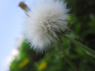 29DF3636-F0B1-4CE9-8D77-8327B1A5BAA9/L0/001