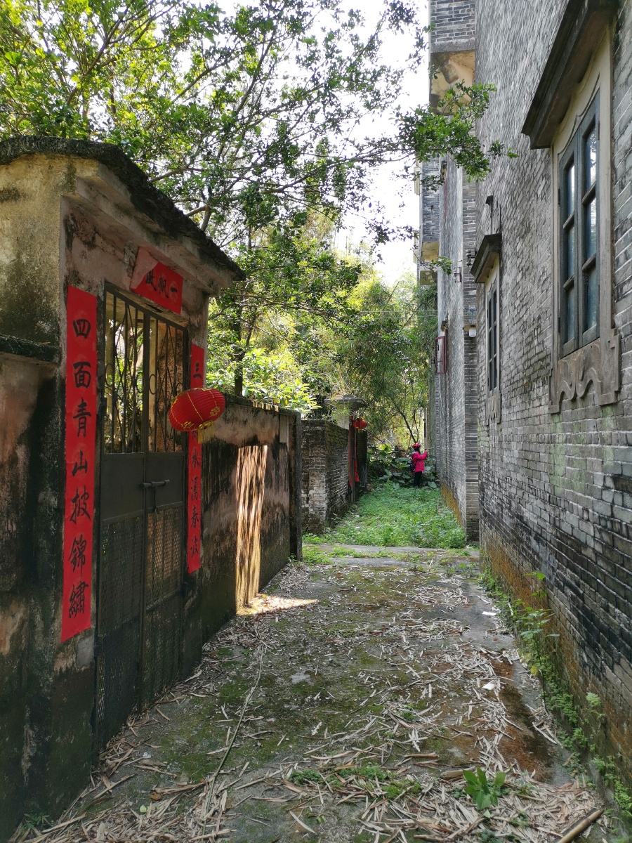 开平加拿大村一幢幢古建筑物伫立村庄无声地诉说着过去的故事幽静的