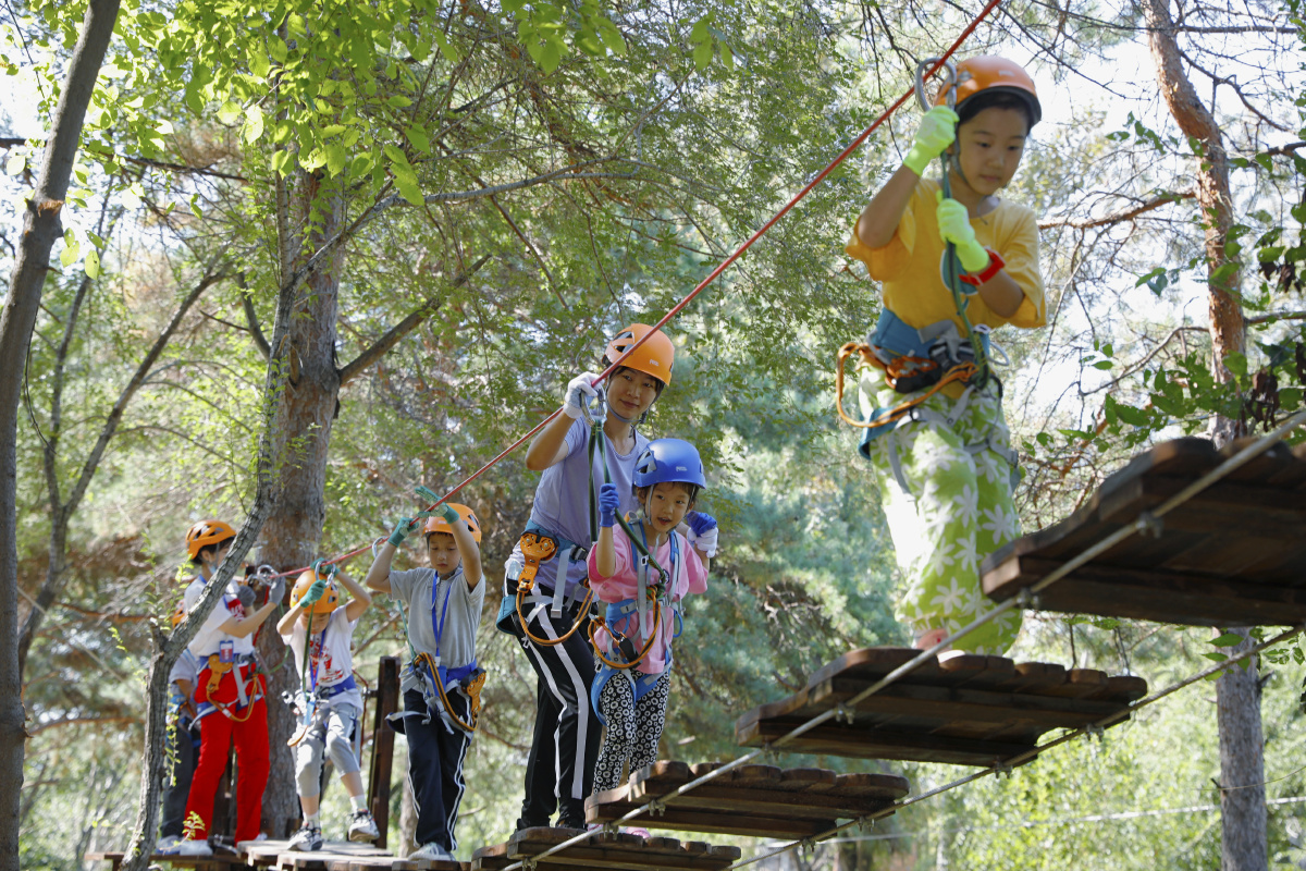丛林探险儿童版
