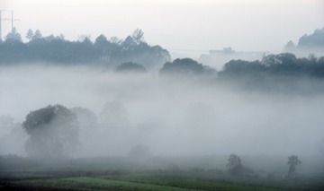 DSC_1081