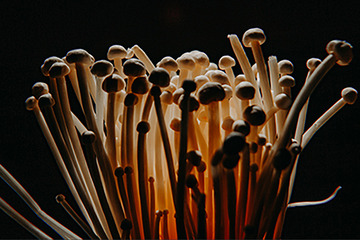 DSC_3101-1 - 