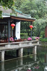 蘭圃08