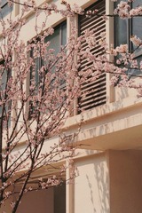 CEC4691C-31F9-40DC-941F-3B74A6E3BEC0/L0/001